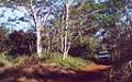 Kauai backroads tours