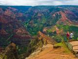 Waimea Canyon Tour