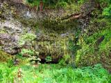  Wailua River Tours