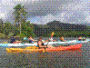 Kayak Adventures Waterfall Tour