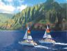  Napali Coast Cruises