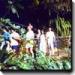  Kauai Land Tours