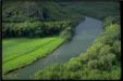  Kauai Tours